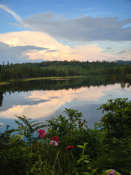 The silence between the forest and the lake